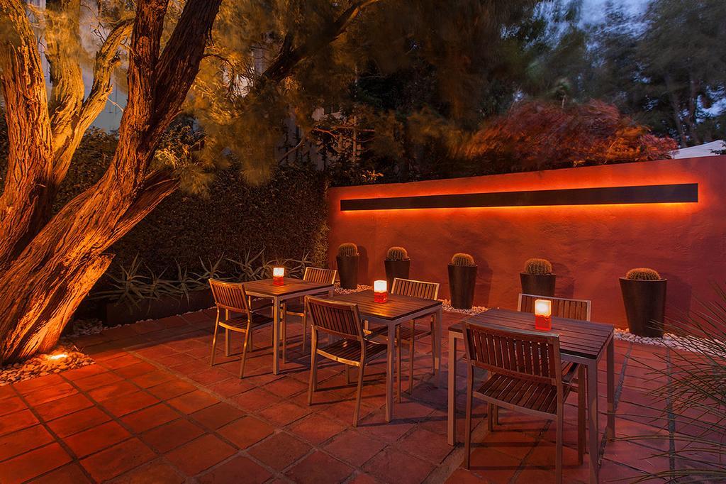 Cactusberry Lodge Cape Town Dış mekan fotoğraf